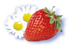 strawberry